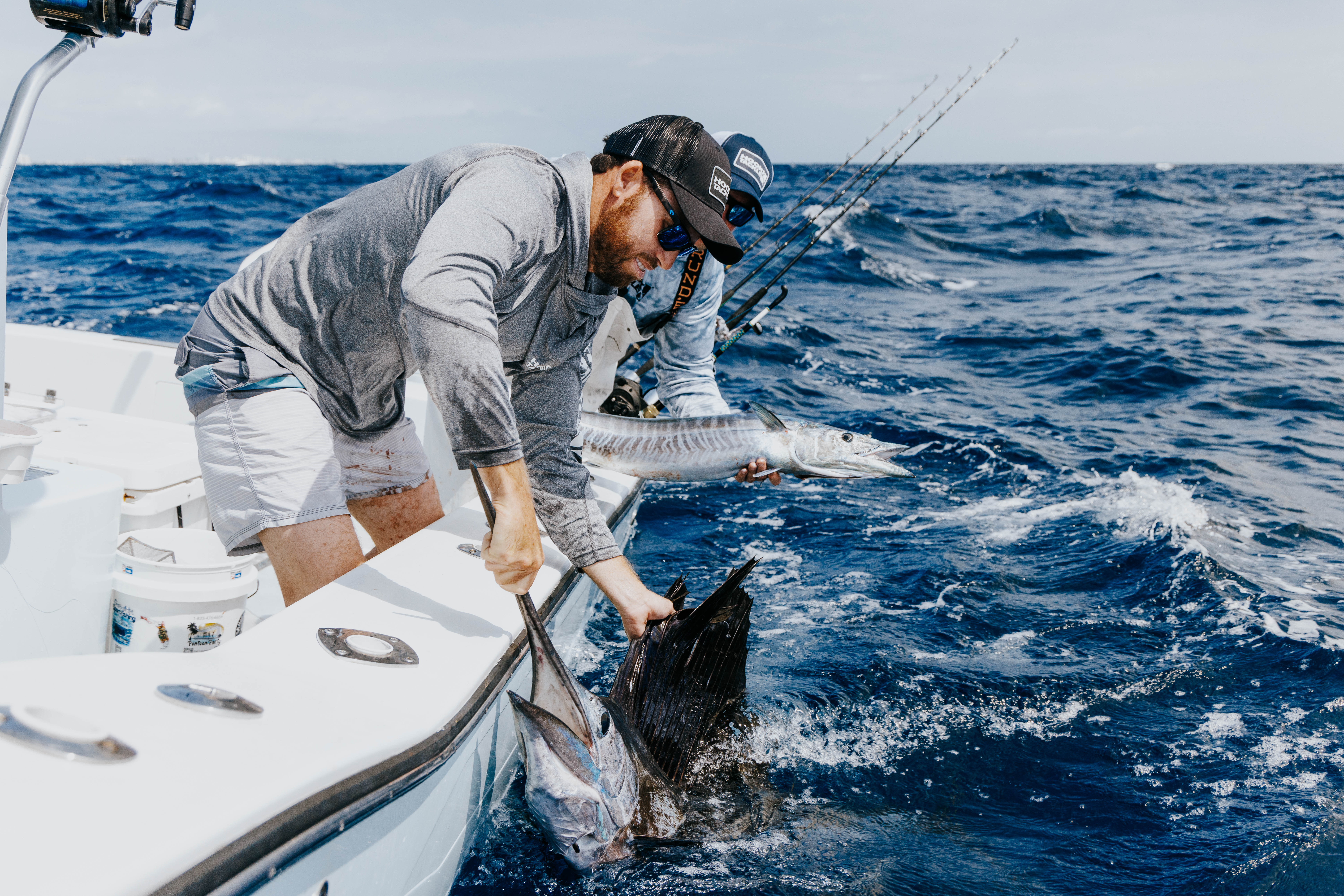 Sailfish release offshore — authentic fishing brand photography